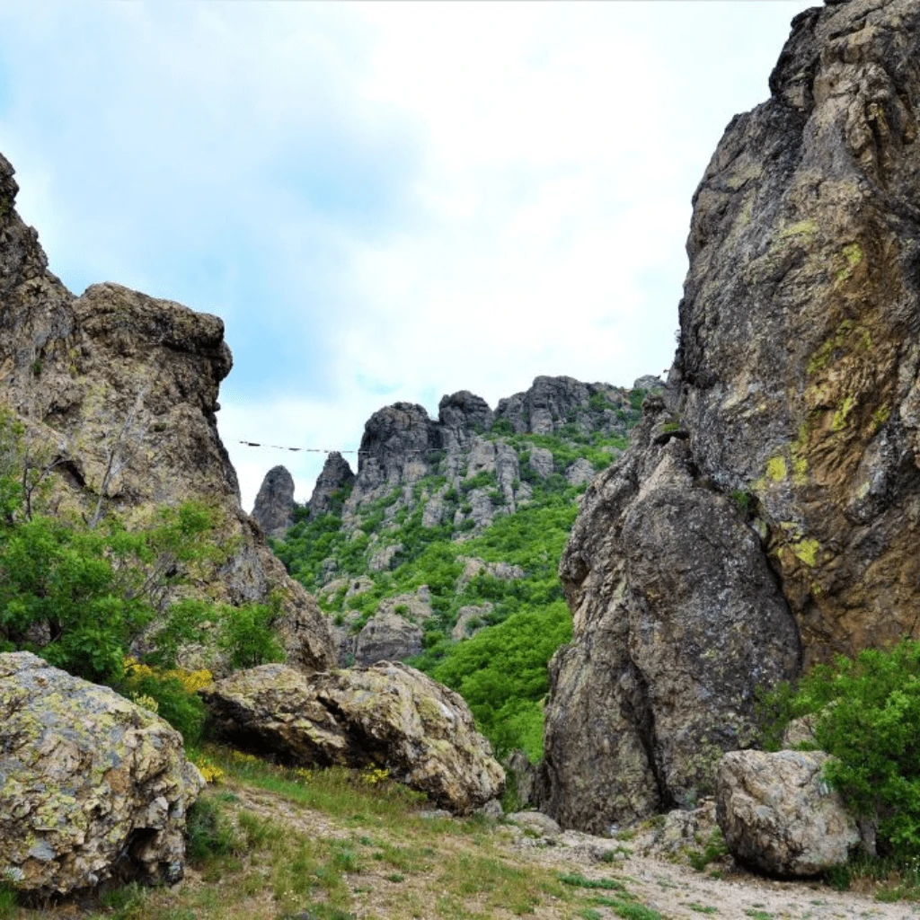 Sinite Kamani